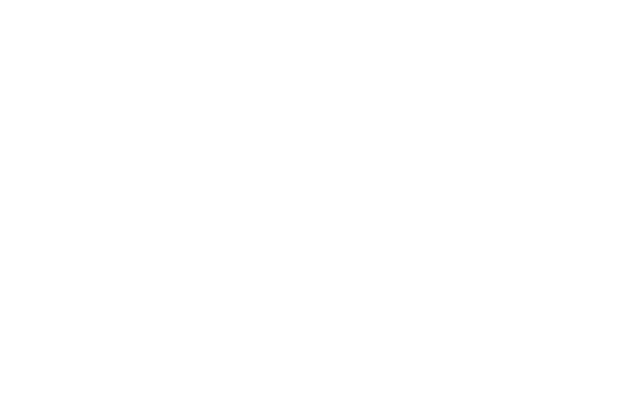 Turtle Crusade